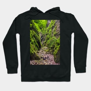 A beautiful view of a narrow wild canyon Hoodie